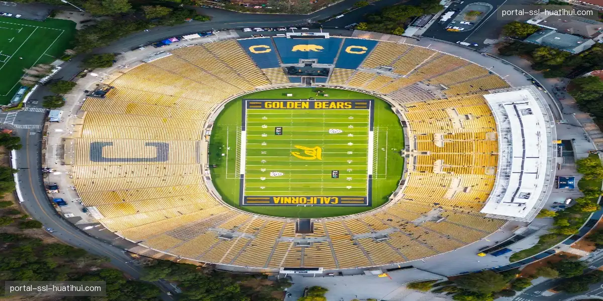 📱 赛事弹幕氛围狂热，比赛参与感爆棚！🌊